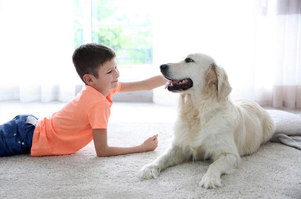 Pet Care