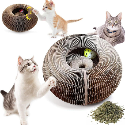 Cat Scratching Board