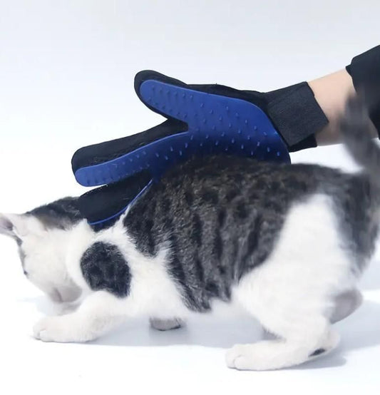 Pet Cleaning & Grooming Hand Gloves