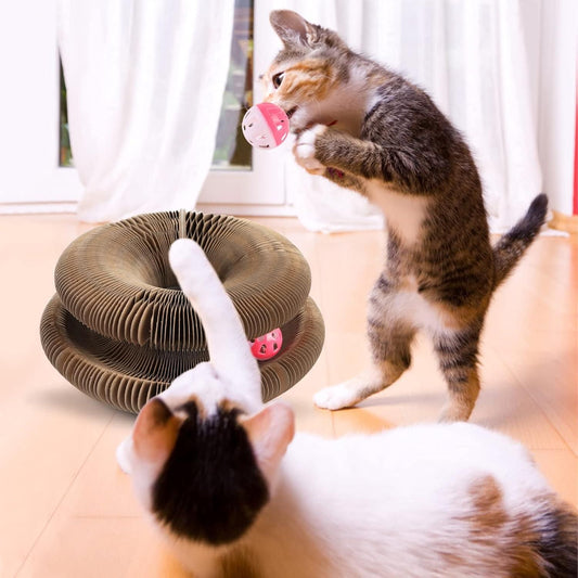 Cat Scratching Board
