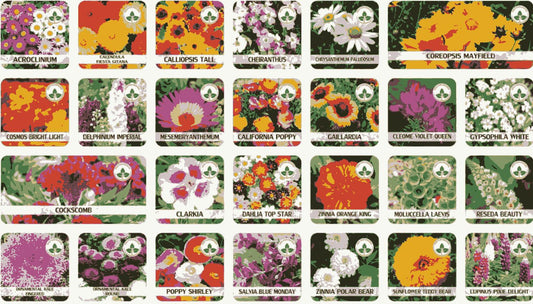 Mixed Varieties of Flower Seeds (Pack of 100 types)